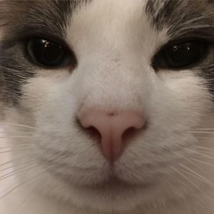 Meet your Posher, Barbara